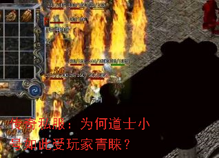 ˽ΪεʿС