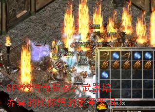 SF999ңıĸҪ