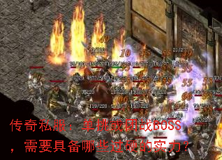 ˽սBOSSҪ߱ЩӲʵ