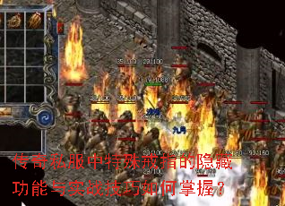 ˽ָعʵսգ