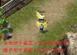 SFһκòս棿