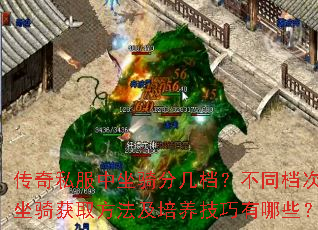 ˽ּͬȡЩ