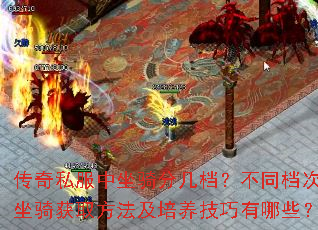 ˽ּͬȡЩ