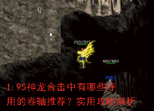 1.95ϻЩõľƼʵùԽ
