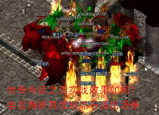֮ʵսЧΣȫȱó