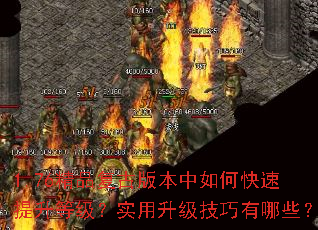 1.76ƷŰ汾οȼʵЩ