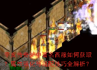 SFλȡǿ似ȫ