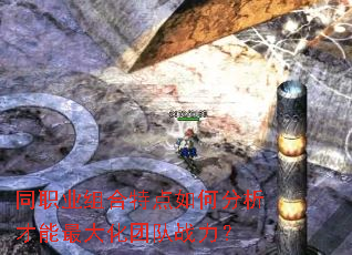 同职业组合特点如何分析才能最大化团队战力? 同职业组合特点如何分析才能最大化团队战力?