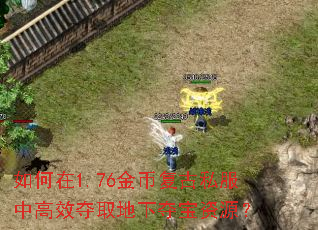 如何在1.76金币复古私服中高效夺取地下夺宝资源? 如何在1.76金币复古私服中高效夺取地下夺宝资源?