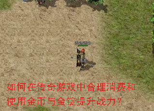 如何在传奇游戏中合理消费和使用金币与金锭提升战力? 如何在传奇游戏中合理消费和使用金币与金锭提升战力?