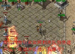 微变传奇玩家如何利用礼包快速升级?高效冲级技巧有哪些? 微变传奇玩家如何利用礼包快速升级?高效冲级技巧有哪些?