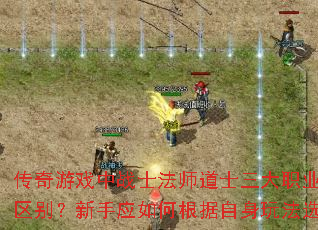 传奇游戏中战士法师道士三大职业的攻击属性有何区别?新手应如何根据自身玩法选择最佳职业? 传奇游戏中战士法师道士三大职业的攻击属性有何区别?新手应如何根据自身玩法选择最佳职业?