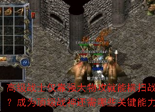 高级战士仅靠强大物攻就能横扫战场?成为顶级战神还需哪些关键能力? 高级战士仅靠强大物攻就能横扫战场?成为顶级战神还需哪些关键能力?