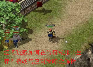 红名玩家如何在传奇私服中生存?挑战与应对策略全解析 红名玩家如何在传奇私服中生存?挑战与应对策略全解析