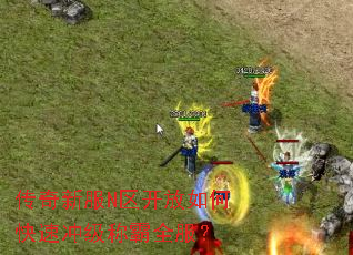 传奇新服N区开放如何快速冲级称霸全服? 传奇新服N区开放如何快速冲级称霸全服?