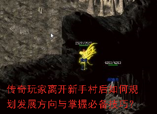 传奇玩家离开新手村后如何规划发展方向与掌握必备技巧? 传奇玩家离开新手村后如何规划发展方向与掌握必备技巧?