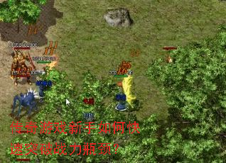 传奇游戏新手如何快速突破战力瓶颈? 传奇游戏新手如何快速突破战力瓶颈?