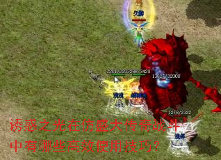 诱惑之光在仿盛大传奇战斗中有哪些高效使用技巧? 诱惑之光在仿盛大传奇战斗中有哪些高效使用技巧?