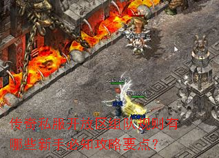 传奇私服开放区组队规则有哪些新手必知攻略要点? 传奇私服开放区组队规则有哪些新手必知攻略要点?