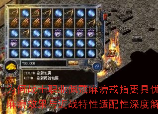 为何战士职业佩戴麻痹戒指更具优势?麻痹效果与近战特性适配性深度解析 为何战士职业佩戴麻痹戒指更具优势?麻痹效果与近战特性适配性深度解析