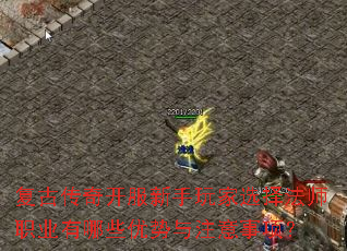 复古传奇开服新手玩家选择法师职业有哪些优势与注意事项? 复古传奇开服新手玩家选择法师职业有哪些优势与注意事项?