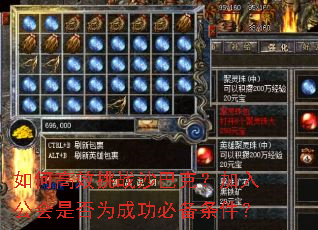 如何高效挑战沙巴克?加入公会是否为成功必备条件? 如何高效挑战沙巴克?加入公会是否为成功必备条件?