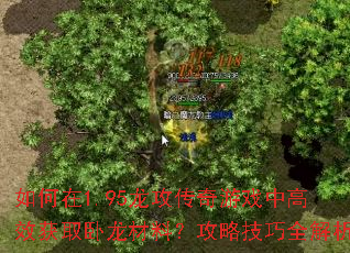 如何在1.95龙攻传奇游戏中高效获取卧龙材料?攻略技巧全解析 如何在1.95龙攻传奇游戏中高效获取卧龙材料?攻略技巧全解析
