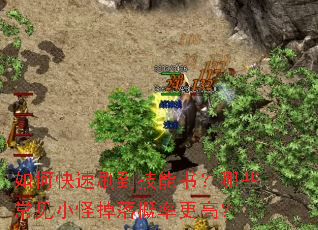 如何快速刷到技能书?哪些常见小怪掉落概率更高? 如何快速刷到技能书?哪些常见小怪掉落概率更高?