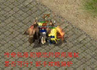 传奇私服前期法师使用魔杖是否可行?新手攻略解析 传奇私服前期法师使用魔杖是否可行?新手攻略解析