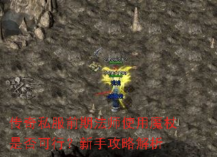 传奇私服前期法师使用魔杖是否可行?新手攻略解析 传奇私服前期法师使用魔杖是否可行?新手攻略解析