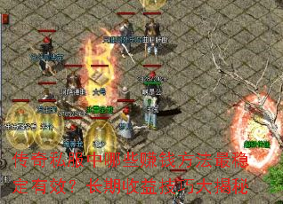 传奇私服中哪些赚钱方法最稳定有效?长期收益技巧大揭秘 传奇私服中哪些赚钱方法最稳定有效?长期收益技巧大揭秘