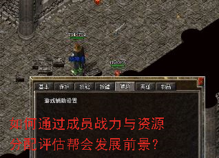 如何通过成员战力与资源分配评估帮会发展前景? 如何通过成员战力与资源分配评估帮会发展前景?