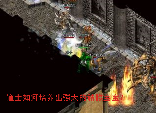 道士如何培养出强大的骷髅宝宝? 道士如何培养出强大的骷髅宝宝?