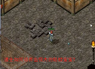 道士如何培养出强大的骷髅宝宝? 道士如何培养出强大的骷髅宝宝?