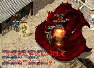 传奇魔法盾技能如何提升等级与获取途径? 传奇魔法盾技能如何提升等级与获取途径?