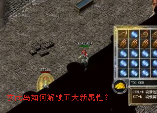 玄武岛如何解锁五大新属性? 玄武岛如何解锁五大新属性?