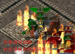 传奇游戏攻略:如何发掘专业球员的隐藏资料? 传奇游戏攻略:如何发掘专业球员的隐藏资料?