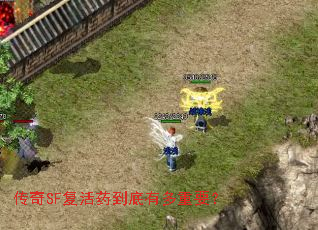 传奇SF复活药到底有多重要? 传奇SF复活药到底有多重要?