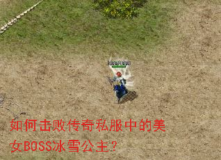 如何击败传奇私服中的美女BOSS冰雪公主? 如何击败传奇私服中的美女BOSS冰雪公主?