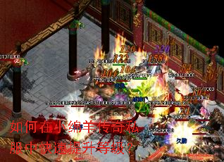 如何在小绵羊传奇私服中快速提升等级? 如何在小绵羊传奇私服中快速提升等级?