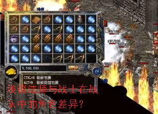 浅谈法师与战士在战队中的角色差异? 浅谈法师与战士在战队中的角色差异?