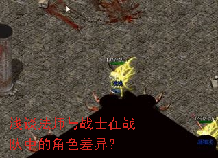 浅谈法师与战士在战队中的角色差异? 浅谈法师与战士在战队中的角色差异?