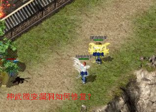 神武微变漏洞如何修复? 神武微变漏洞如何修复?