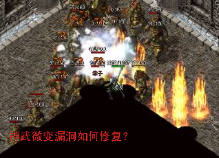 神武微变漏洞如何修复? 神武微变漏洞如何修复?