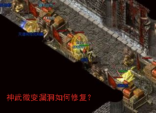 神武微变漏洞如何修复? 神武微变漏洞如何修复?