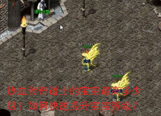 ��Ѫ�����ʿ�ı�����߶��ټ�����ο������������ȼ���