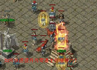 ��ο������������ʿ�ľ�������