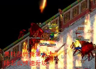 美杜莎传奇第五大陆怎么快速升级? 美杜莎传奇第五大陆怎么快速升级?