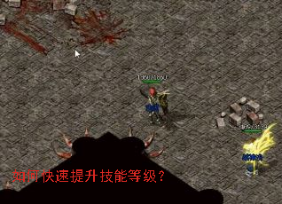 ��ο����������ܵȼ���