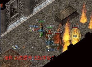 ��ο����������ܵȼ���